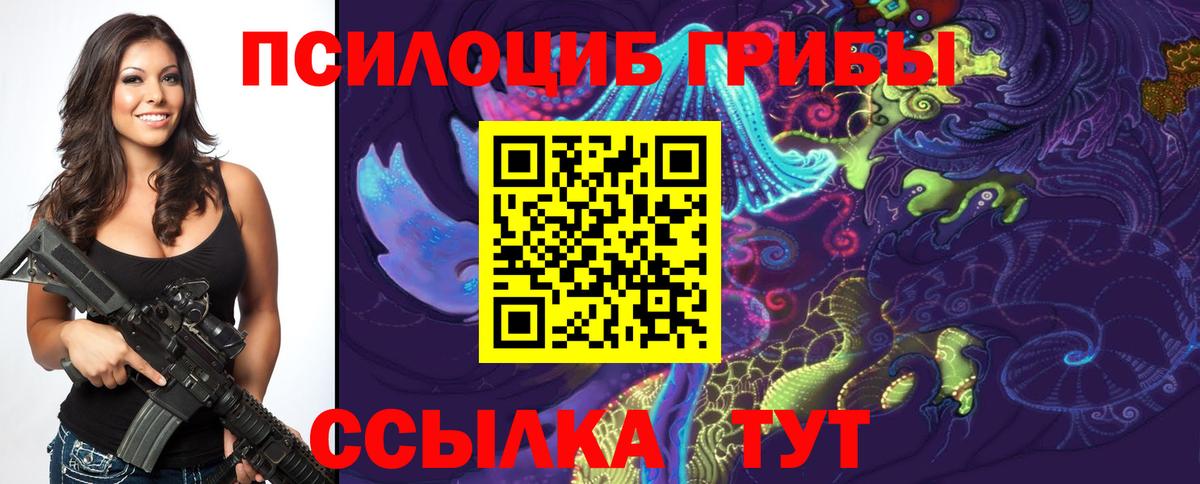 продажа наркотиков  Вход с VPN  Железноводск  Псилоцибиновые грибы GOLDEN TEACHER 